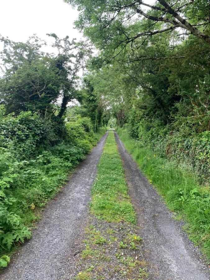 Burren Court Lodge Ballyvaughan Bagian luar foto