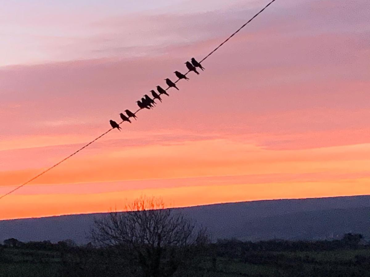 Burren Court Lodge Ballyvaughan Bagian luar foto