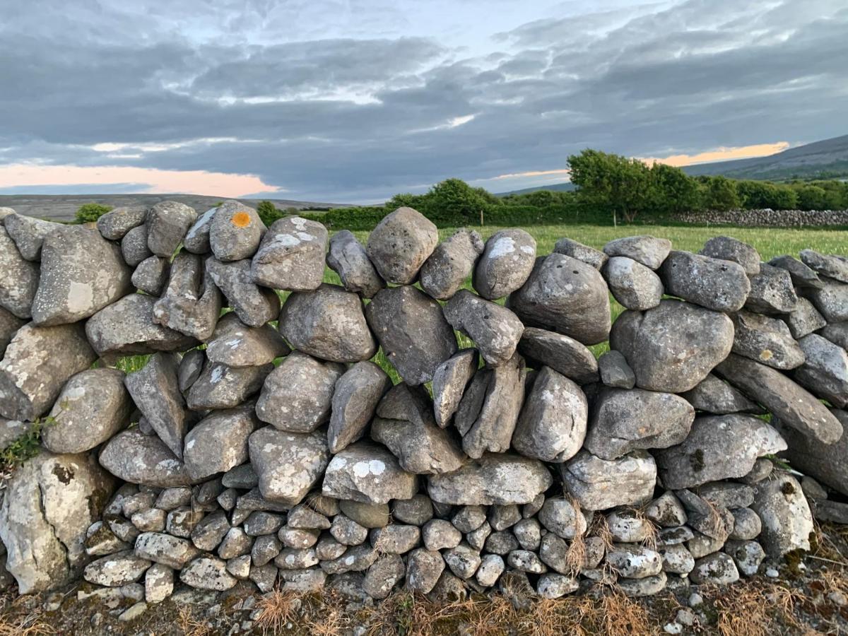 Burren Court Lodge Ballyvaughan Bagian luar foto